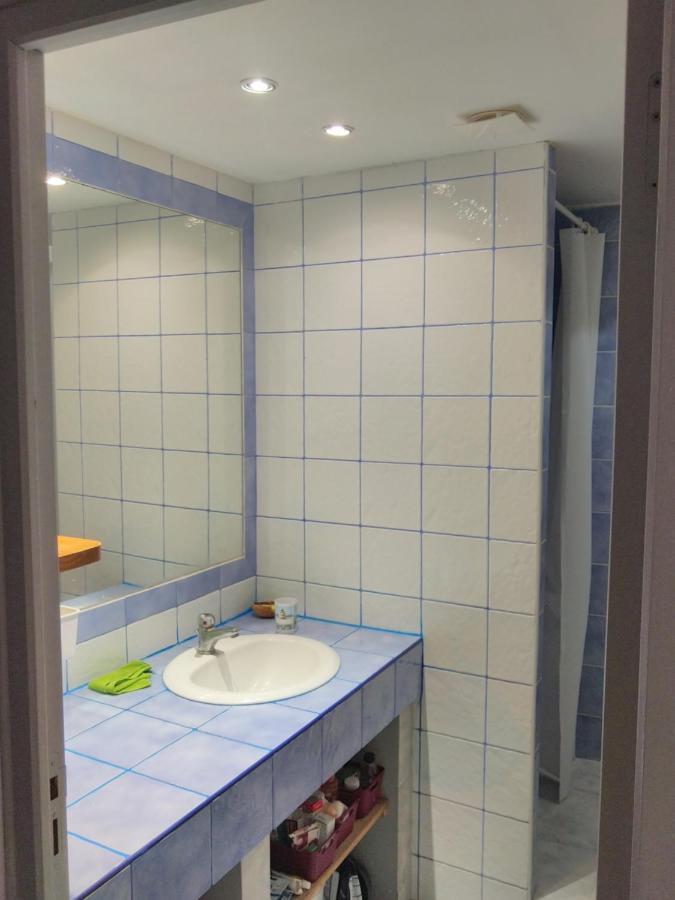 Romans-sur-isere, Maison De Rue En Centre Ancien Apartment